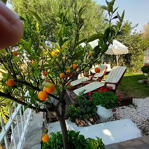 Nikos Stone House 80m From The With Wifi Ferienhaus